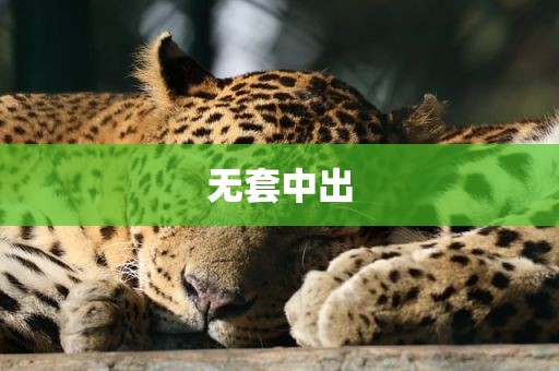 无套中出