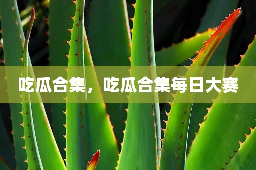 吃瓜合集，吃瓜合集每日大赛