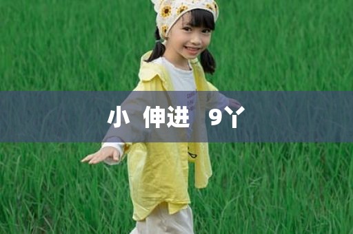 小  伸进   9丫
