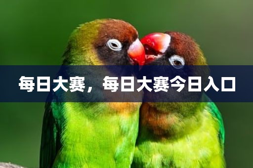 每日大赛，每日大赛今日入口
