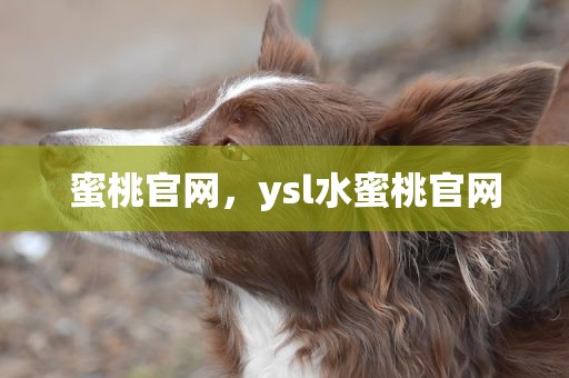 蜜桃官网，ysl水蜜桃官网