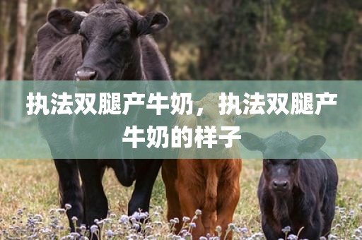 执法双腿产牛奶，执法双腿产牛奶的样子