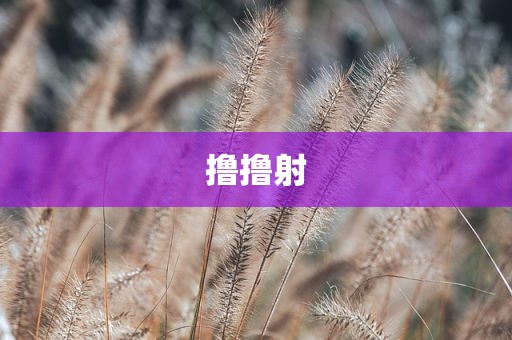 撸撸射