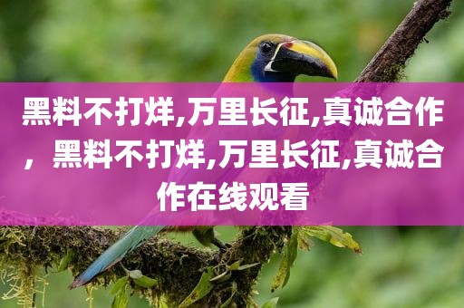 黑料不打烊,万里长征,真诚合作，黑料不打烊,万里长征,真诚合作在线观看