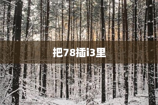 把78插i3里