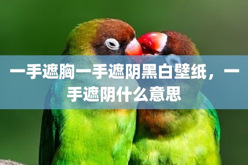 一手遮胸一手遮阴黑白壁纸，一手遮阴什么意思