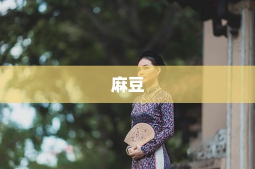 麻豆