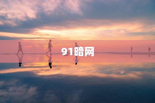 91暗网