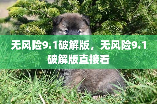 无风险9.1破解版，无风险9.1破解版直接看