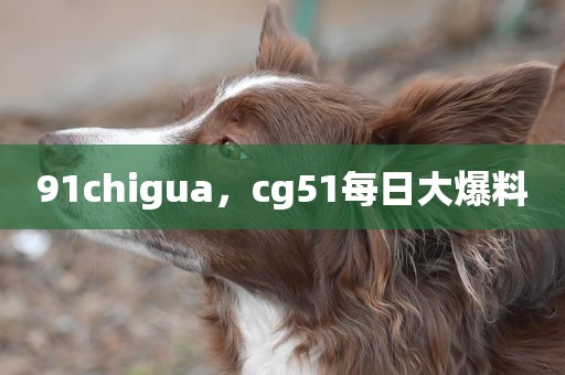 91chigua，cg51每日大爆料