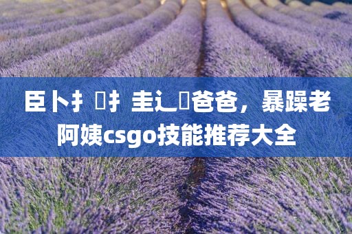 臣卜扌喿扌圭辶畐爸爸，暴躁老阿姨csgo技能推荐大全