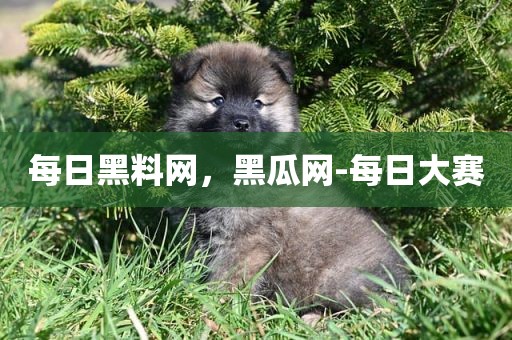 每日黑料网，黑瓜网-每日大赛