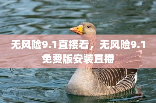 无风险9.1直接看，无风险9.1免费版安装直播