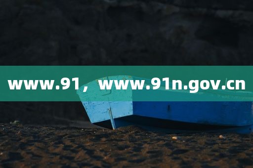 www.91，www.91n.gov.cn