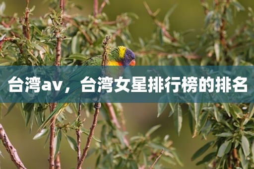 台湾av，台湾女星排行榜的排名