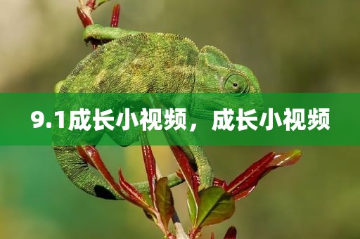 9.1成长小视频，成长小视频