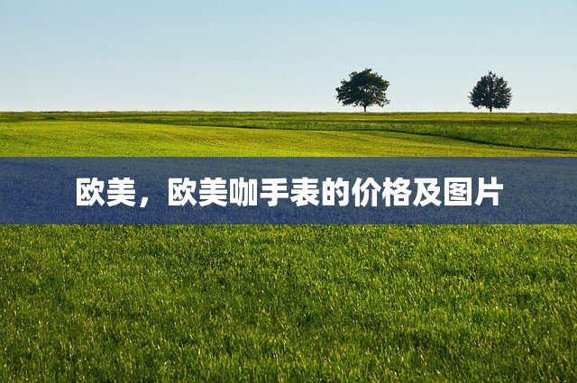 欧美，欧美咖手表的价格及图片