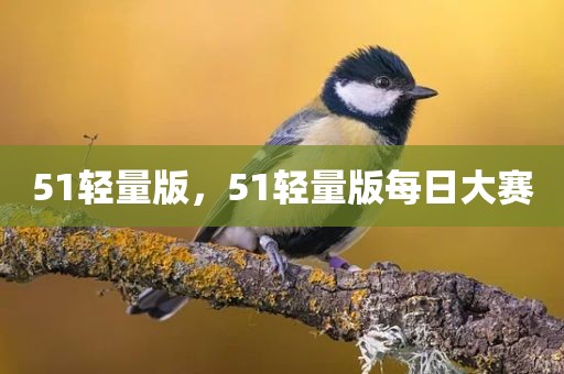 51轻量版，51轻量版每日大赛