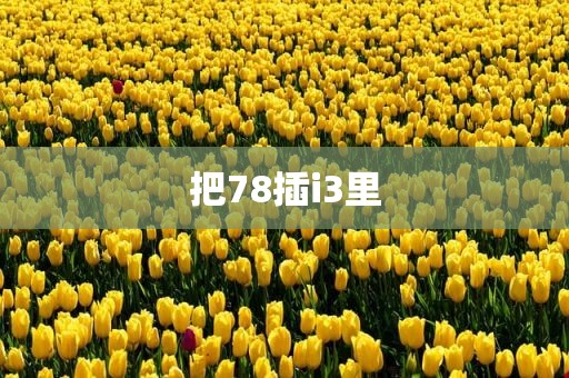 把78插i3里