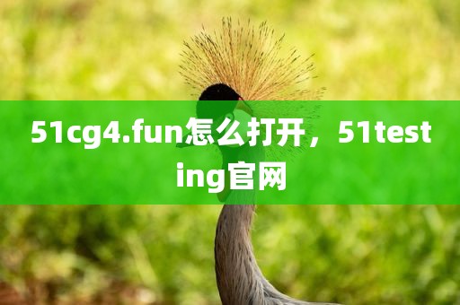 51cg4.fun怎么打开，51testing官网