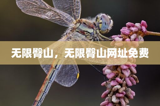 无限臀山，无限臀山网址免费