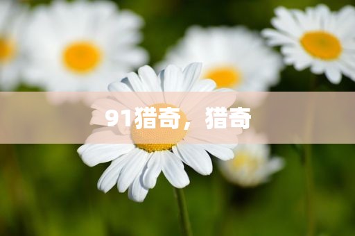 91猎奇，猎奇