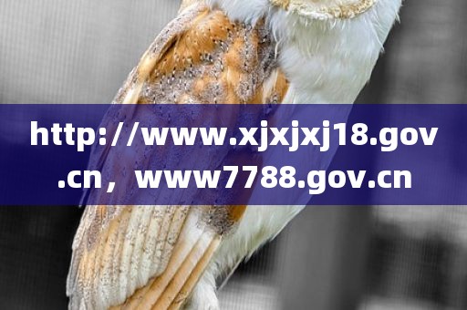 http://www.xjxjxj18.gov.cn，www7788.gov.cn