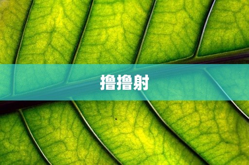撸撸射