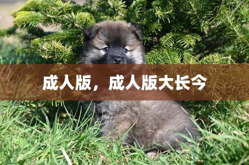 成人版，成人版大长今