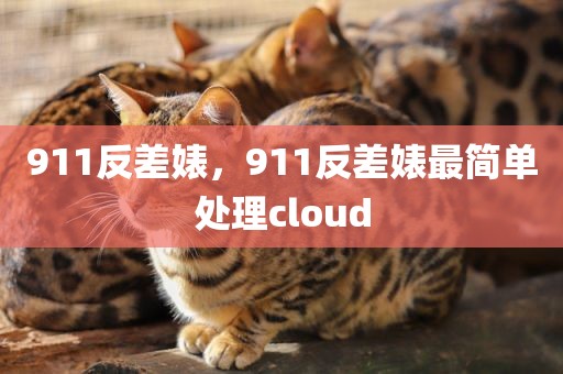 911反差婊，911反差婊最简单处理cloud