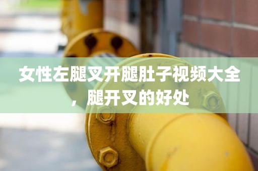 女性左腿叉开腿肚子视频大全，腿开叉的好处