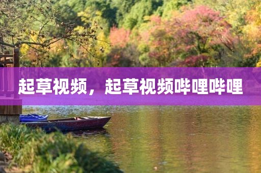 起草视频，起草视频哔哩哔哩