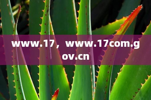 www.17，www.17com.gov.cn