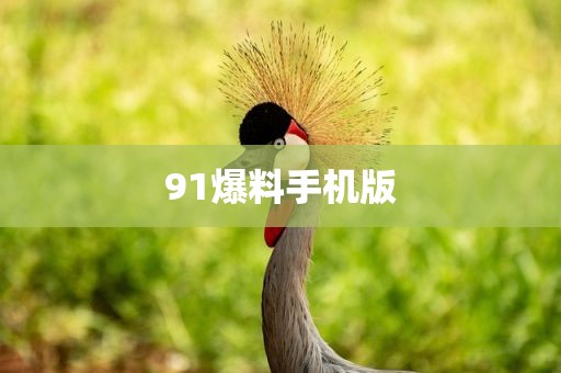 91爆料手机版