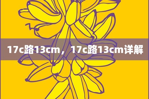 17c路13cm，17c路13cm详解