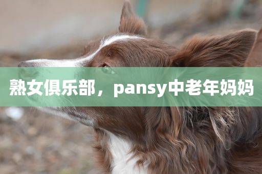 熟女俱乐部，pansy中老年妈妈