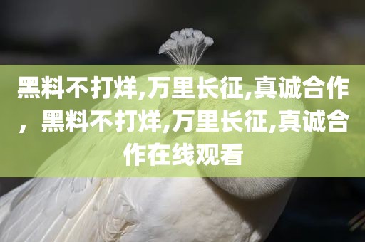 黑料不打烊,万里长征,真诚合作，黑料不打烊,万里长征,真诚合作在线观看