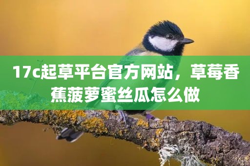 17c起草平台官方网站，草莓香蕉菠萝蜜丝瓜怎么做