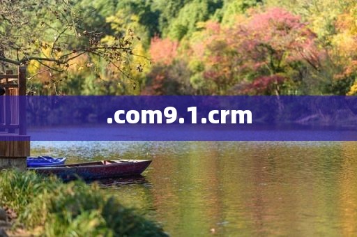 .com9.1.crm