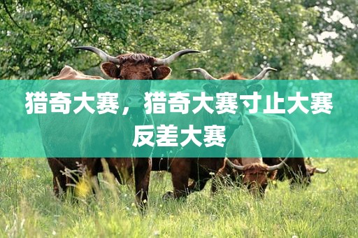 猎奇大赛，猎奇大赛寸止大赛反差大赛