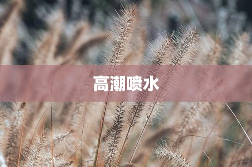 高潮喷水