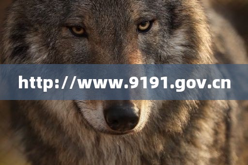 http://www.9191.gov.cn