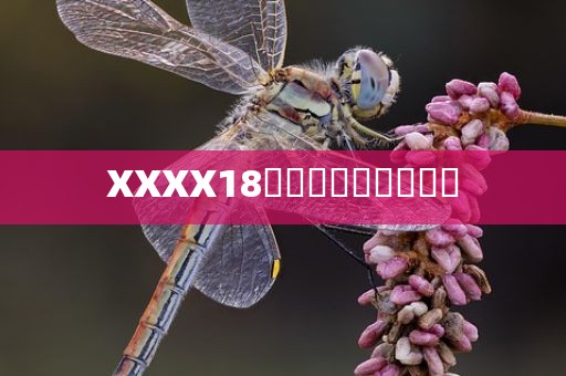 XXXX18馃崙馃崋賮賶賱賶賲