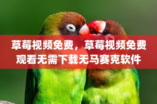 草莓视频免费，草莓视频免费观看无需下载无马赛克软件