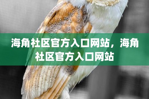 海角社区官方入口网站，海角社区官方入口网站