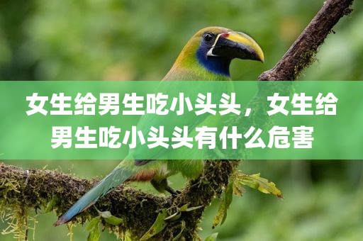 女生给男生吃小头头，女生给男生吃小头头有什么危害
