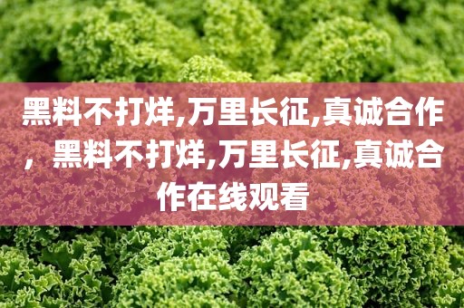 黑料不打烊,万里长征,真诚合作，黑料不打烊,万里长征,真诚合作在线观看