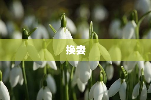 换妻