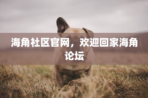 海角社区官网，欢迎回家海角论坛