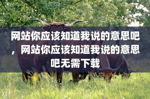 网站你应该知道我说的意思吧，网站你应该知道我说的意思吧无需下载